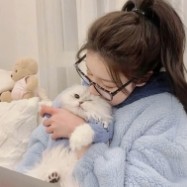 來年秋風(fēng)起