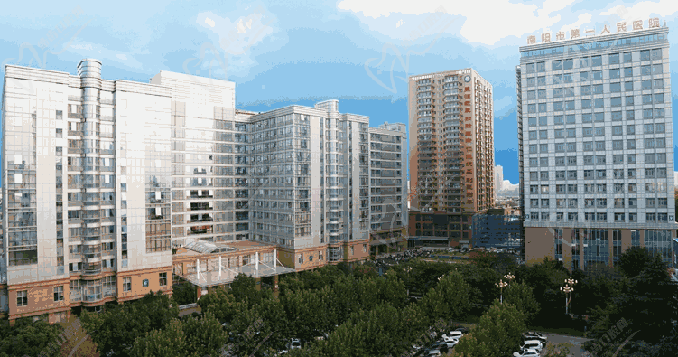 南陽(yáng)市第一人民醫(yī)院整形科3